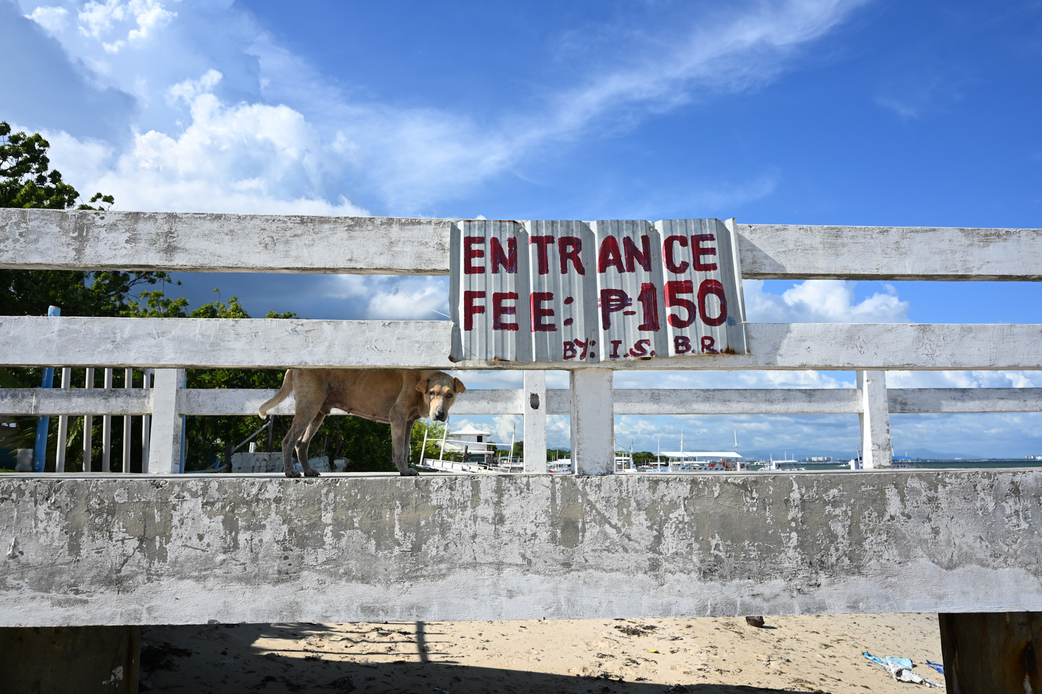 修学旅行【セブ方面】3日目